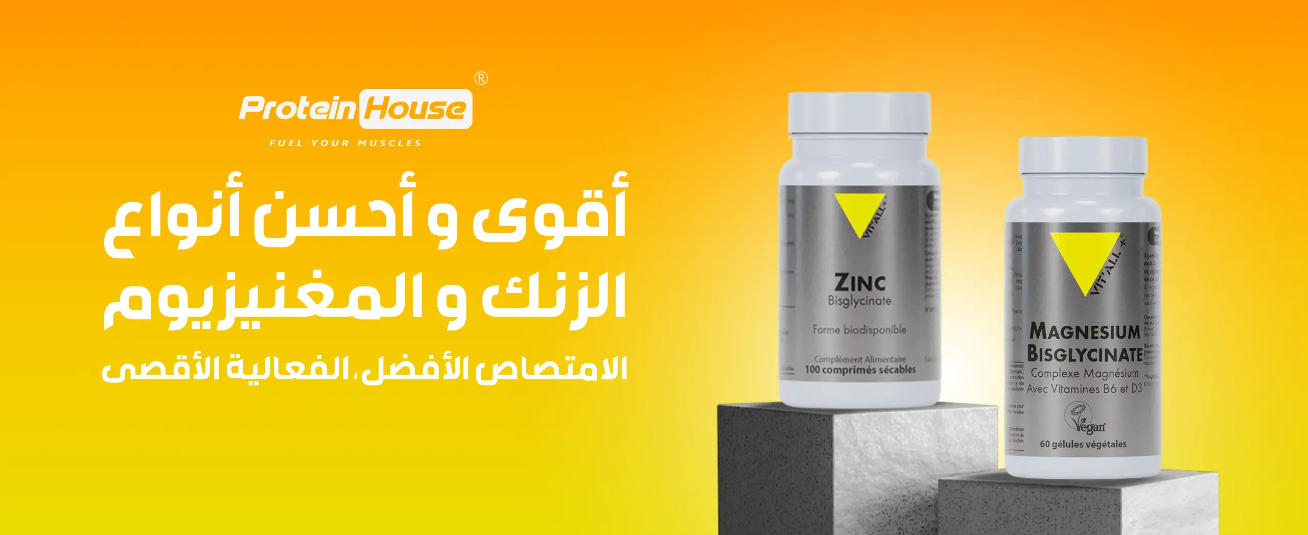vit all plus site banner